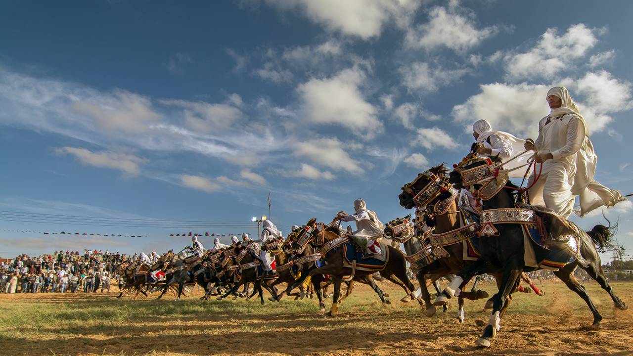 Equestrian tradition in Libya